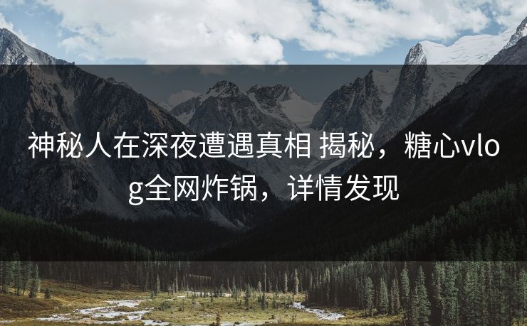 神秘人在深夜遭遇真相 揭秘，糖心vlog全网炸锅，详情发现