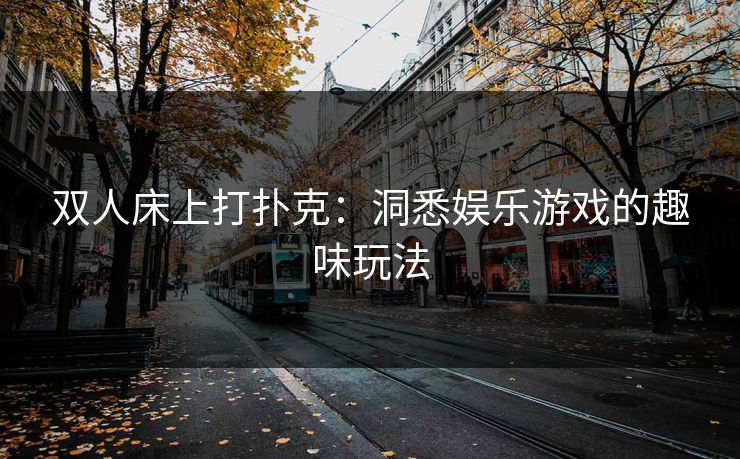 双人床上打扑克：洞悉娱乐游戏的趣味玩法
