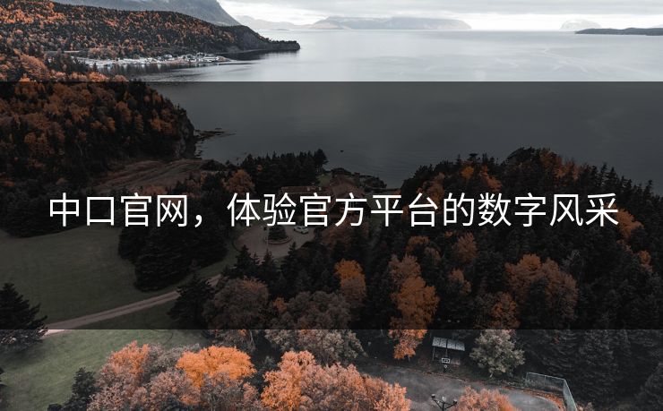 中口官网，体验官方平台的数字风采