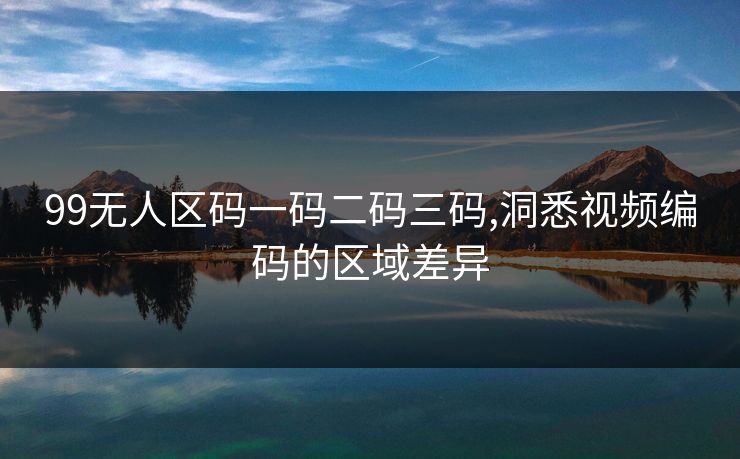 99无人区码一码二码三码,洞悉视频编码的区域差异