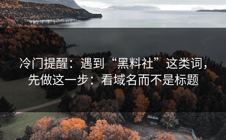 冷门提醒：遇到“黑料社”这类词，先做这一步：看域名而不是标题