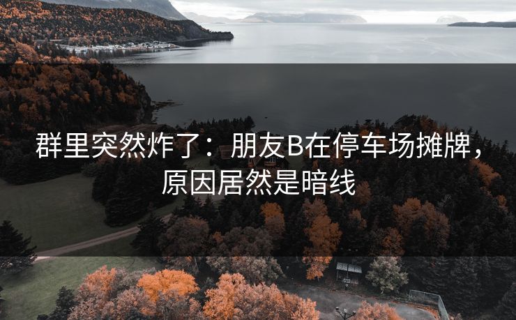 群里突然炸了：朋友B在停车场摊牌，原因居然是暗线