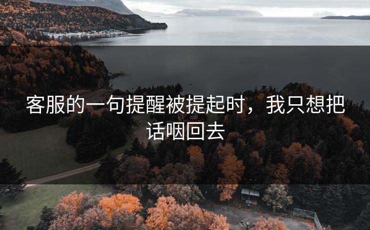 客服的一句提醒被提起时，我只想把话咽回去